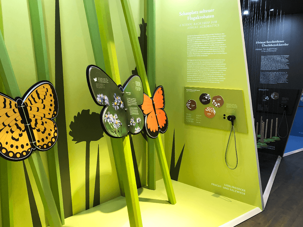 orkow Ausstellungsfoto Schmetterlingsbücher