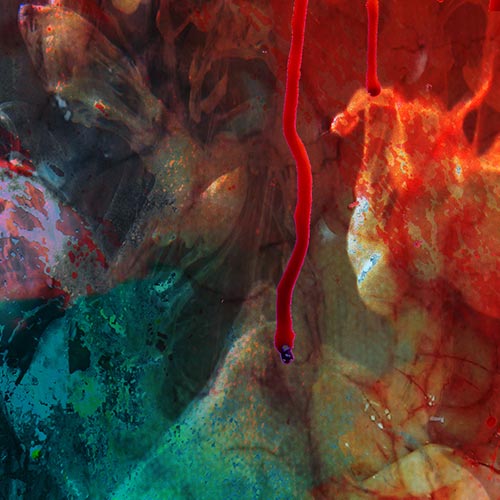 Marc Sinan – Schlachten: Bildausschnitt von Number of the Beast mit abstrakten bunten Innereien und Blut gespiegelt