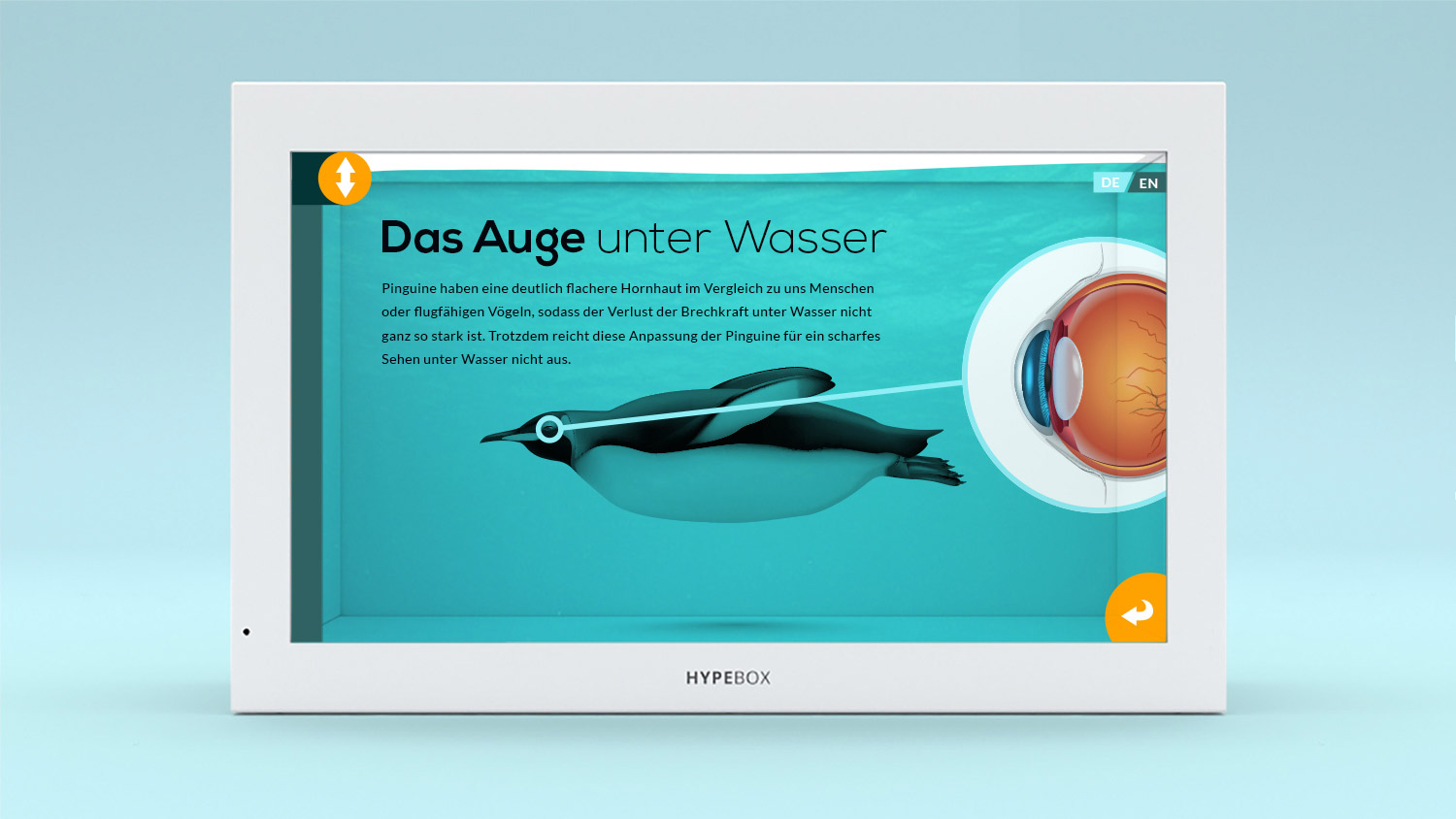 Zoo Berlin Pitch Visualisierung von einer Hypebox mit 3D Pinguin und UI
