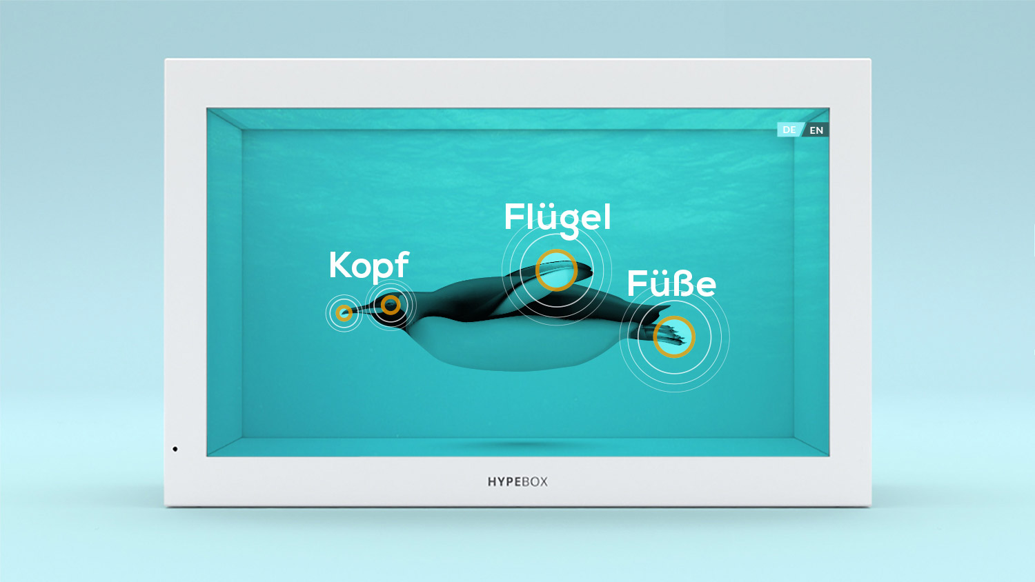 Zoo Berlin Pitch Visualisierung von einer Hypebox mit 3D Pinguin und UI