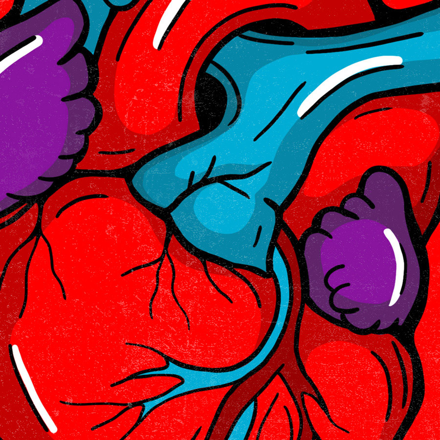 Illustration von einem anatomische Herz