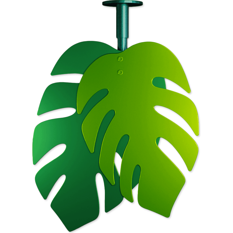 monstera-leaves-3d-rendering-dropshadow