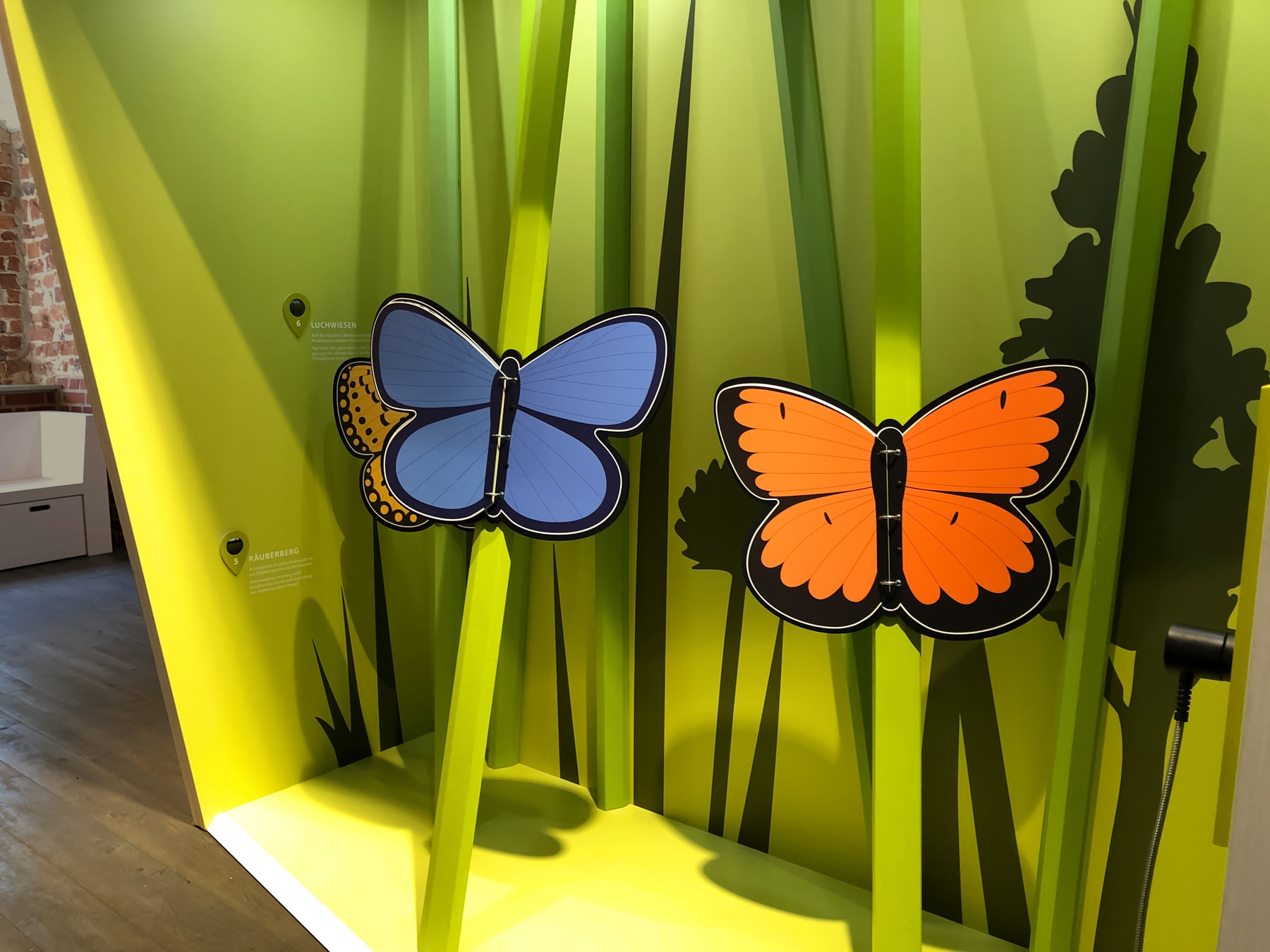 Burg Storkow Ausstellungsfoto Schmetterlingsbücher