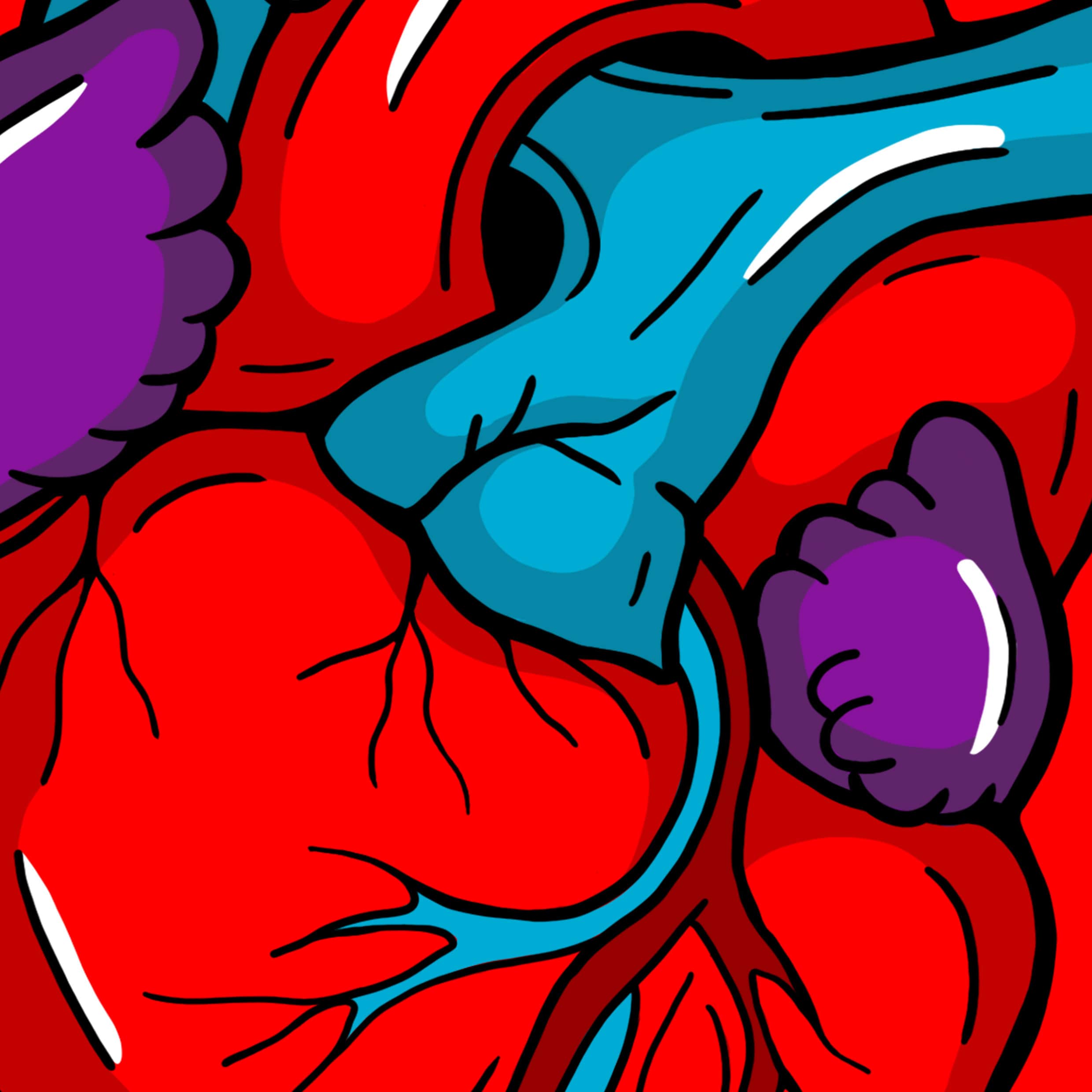 Illustration von einem anatomische Herz